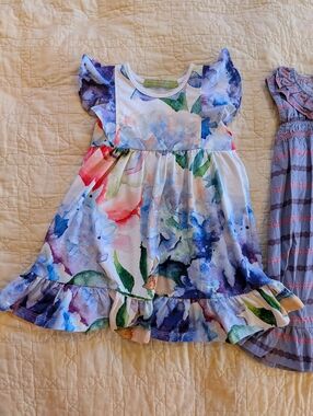 Toddler Spring Summer Cottagecore Sundress Bundle
